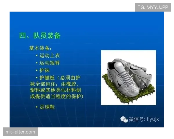 足球判罚标准详解：关键判定条件与裁判执行原则解析